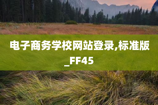 电子商务学校网站登录,标准版_FF45