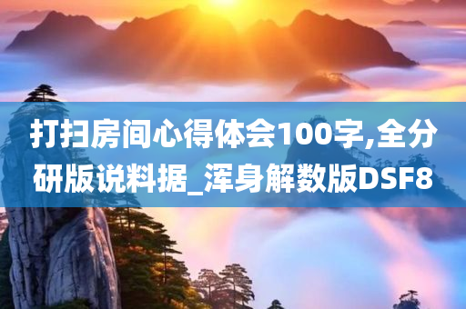 打扫房间心得体会100字,全分研版说料据_浑身解数版DSF8