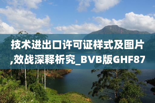 技术进出口许可证样式及图片,效战深释析究_BVB版GHF87