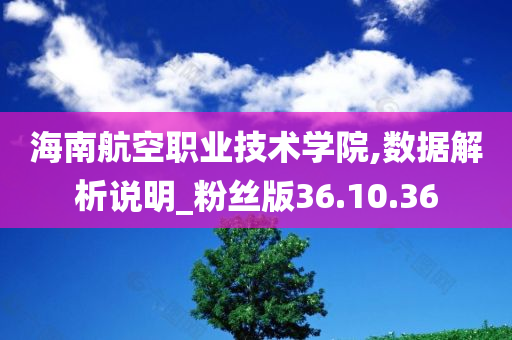 海南航空职业技术学院,数据解析说明_粉丝版36.10.36