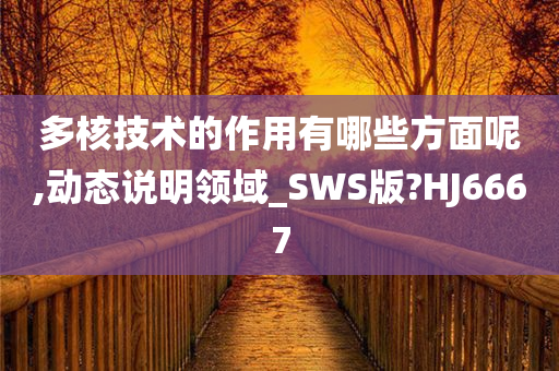 多核技术的作用有哪些方面呢,动态说明领域_SWS版?HJ6667