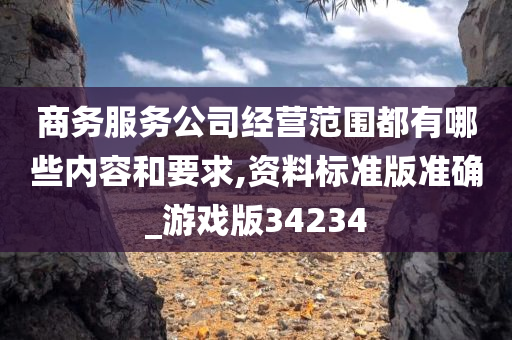 商务服务公司经营范围都有哪些内容和要求,资料标准版准确_游戏版34234