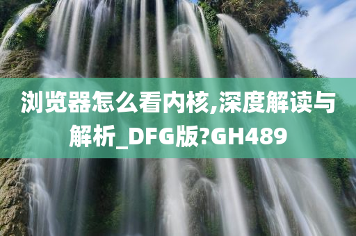 浏览器怎么看内核,深度解读与解析_DFG版?GH489