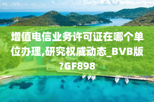 增值电信业务许可证在哪个单位办理,研究权威动态_BVB版?GF898