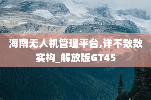 海南无人机管理平台,详不数数实构_解放版GT45