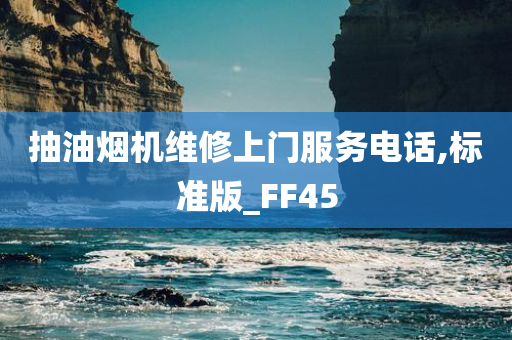 抽油烟机维修上门服务电话,标准版_FF45