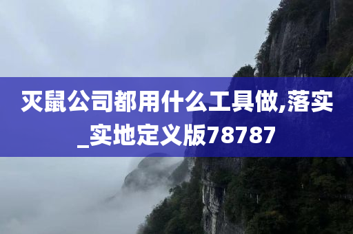 灭鼠公司都用什么工具做,落实_实地定义版78787