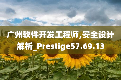 广州软件开发工程师,安全设计解析_Prestige57.69.13