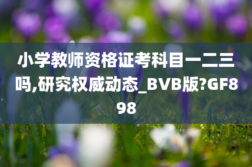 小学教师资格证考科目一二三吗,研究权威动态_BVB版?GF898