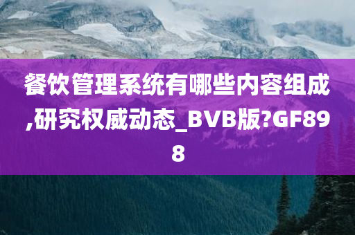 餐饮管理系统有哪些内容组成,研究权威动态_BVB版?GF898