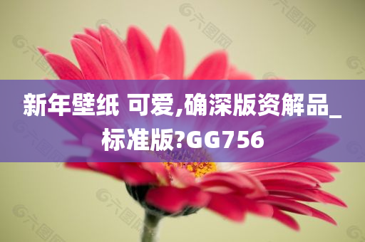 新年壁纸 可爱,确深版资解品_标准版?GG756