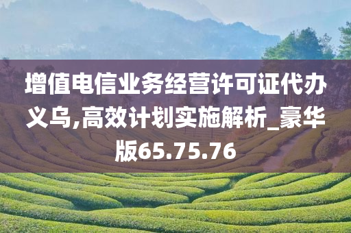 增值电信业务经营许可证代办义乌,高效计划实施解析_豪华版65.75.76