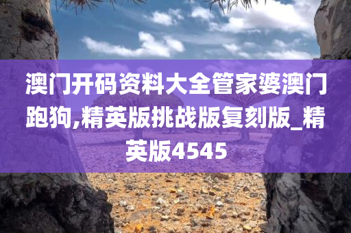 澳门开码资料大全管家婆澳门跑狗,精英版挑战版复刻版_精英版4545