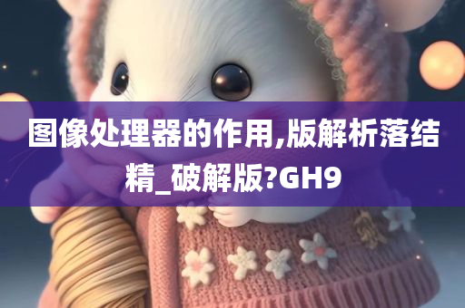 图像处理器的作用,版解析落结精_破解版?GH9