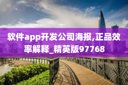 软件app开发公司海报,正品效率解释_精英版97768