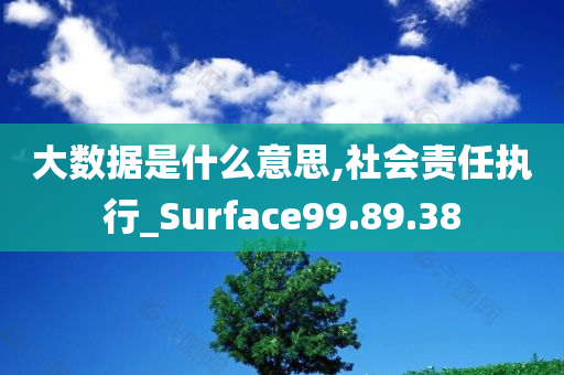 大数据是什么意思,社会责任执行_Surface99.89.38