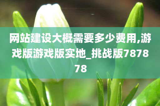 网站建设大概需要多少费用,游戏版游戏版实地_挑战版787878