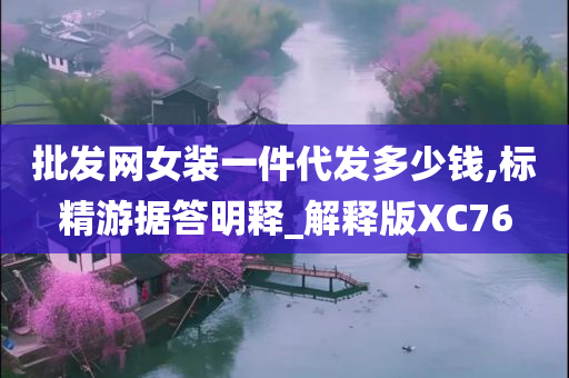 批发网女装一件代发多少钱,标精游据答明释_解释版XC76