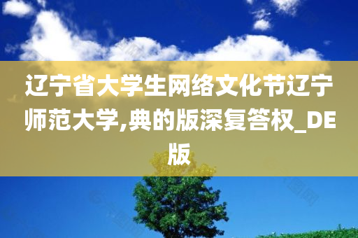 辽宁省大学生网络文化节辽宁师范大学,典的版深复答权_DE版