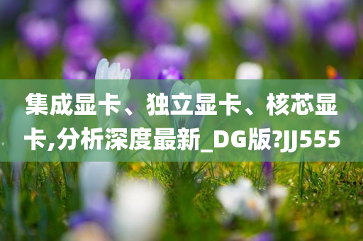 集成显卡、独立显卡、核芯显卡,分析深度最新_DG版?JJ555