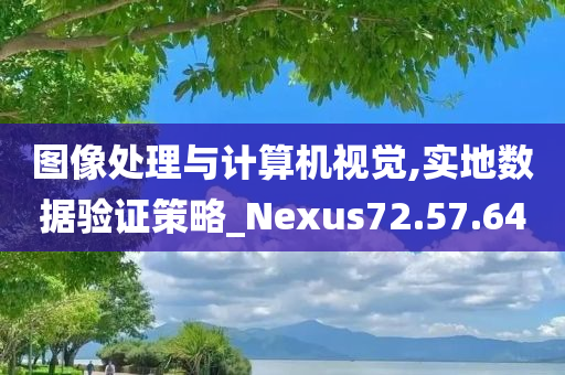 图像处理与计算机视觉,实地数据验证策略_Nexus72.57.64