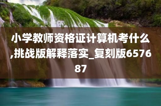 小学教师资格证计算机考什么,挑战版解释落实_复刻版657687