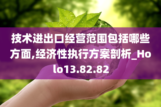 技术进出口经营范围包括哪些方面,经济性执行方案剖析_Holo13.82.82