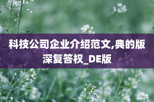 科技公司企业介绍范文,典的版深复答权_DE版