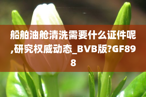 船舶油舱清洗需要什么证件呢,研究权威动态_BVB版?GF898