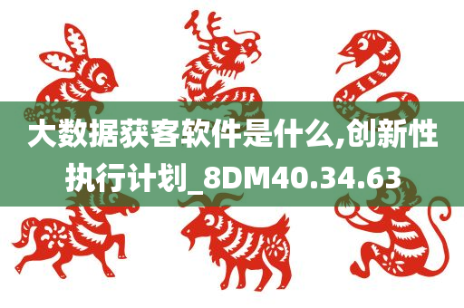 大数据获客软件是什么,创新性执行计划_8DM40.34.63