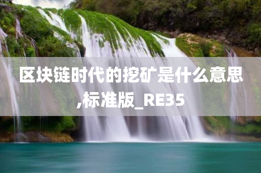 区块链时代的挖矿是什么意思,标准版_RE35