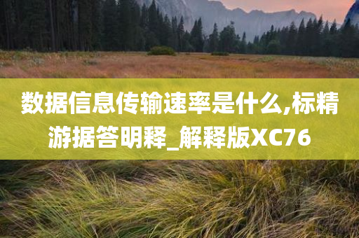 数据信息传输速率是什么,标精游据答明释_解释版XC76