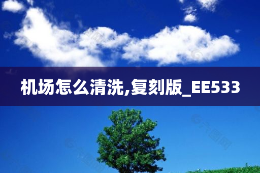 机场怎么清洗,复刻版_EE533