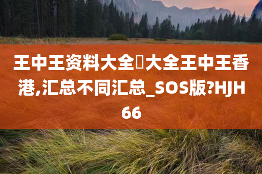 王中王资料大全枓大全王中王香港,汇总不同汇总_SOS版?HJH66