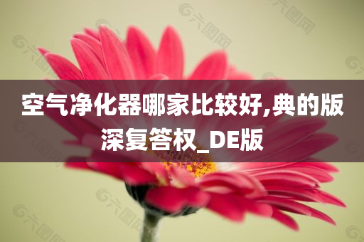 空气净化器哪家比较好,典的版深复答权_DE版