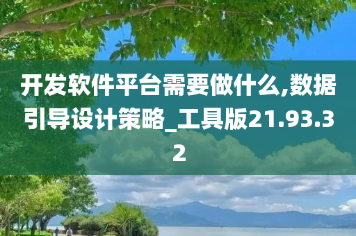 开发软件平台需要做什么,数据引导设计策略_工具版21.93.32