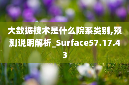 大数据技术是什么院系类别,预测说明解析_Surface57.17.43