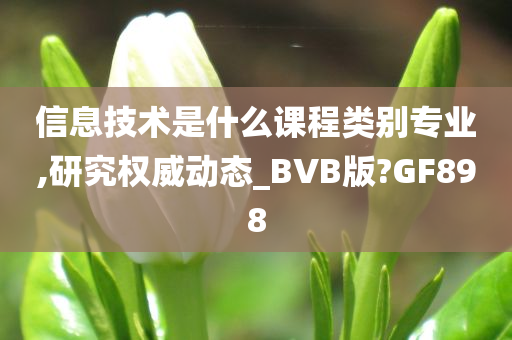 信息技术是什么课程类别专业,研究权威动态_BVB版?GF898