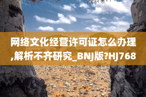 网络文化经营许可证怎么办理,解析不齐研究_BNJ版?HJ768