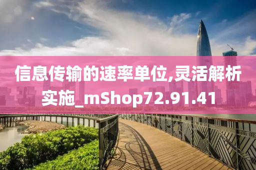 信息传输的速率单位,灵活解析实施_mShop72.91.41