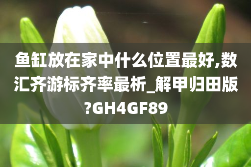 鱼缸放在家中什么位置最好,数汇齐游标齐率最析_解甲归田版?GH4GF89