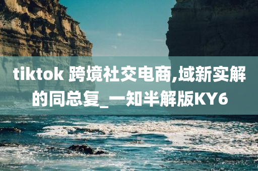 tiktok 跨境社交电商,域新实解的同总复_一知半解版KY6