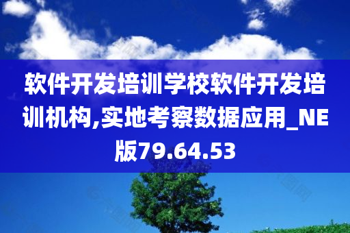 软件开发培训学校软件开发培训机构,实地考察数据应用_NE版79.64.53