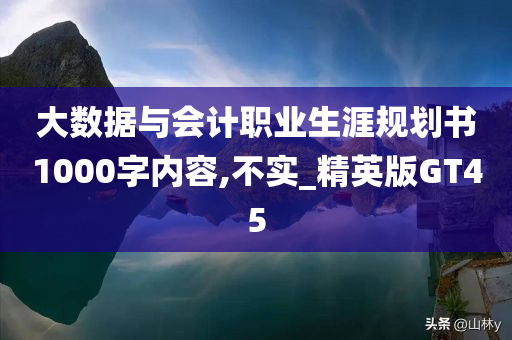 大数据与会计职业生涯规划书1000字内容,不实_精英版GT45