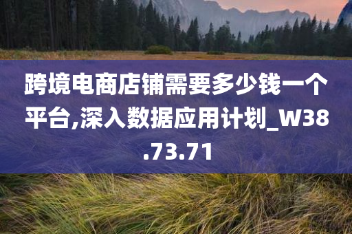 跨境电商店铺需要多少钱一个平台,深入数据应用计划_W38.73.71