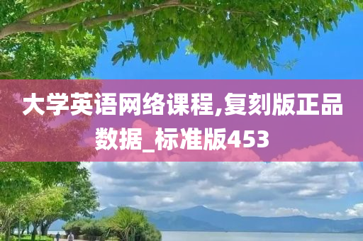 大学英语网络课程,复刻版正品数据_标准版453