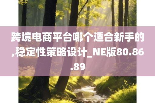 跨境电商平台哪个适合新手的,稳定性策略设计_NE版80.86.89