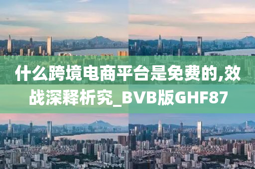 什么跨境电商平台是免费的,效战深释析究_BVB版GHF87