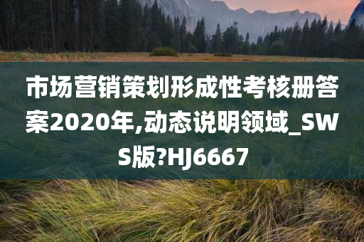 市场营销策划形成性考核册答案2020年,动态说明领域_SWS版?HJ6667