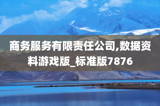 商务服务有限责任公司,数据资料游戏版_标准版7876